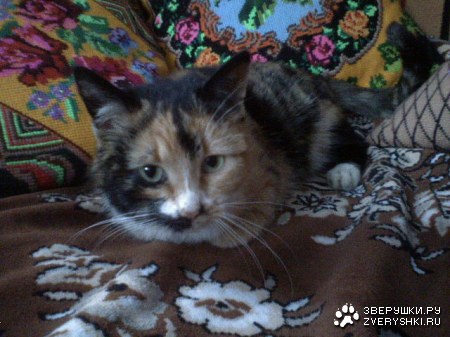 �������� � �����������... :)