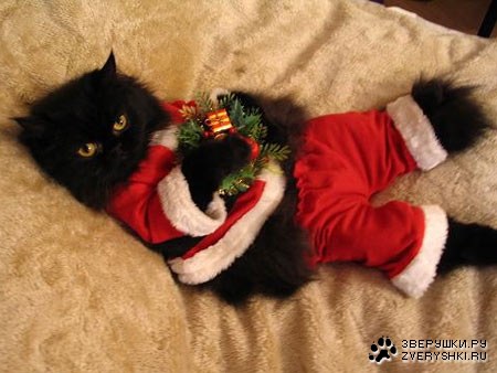 ���������� ����� ;)