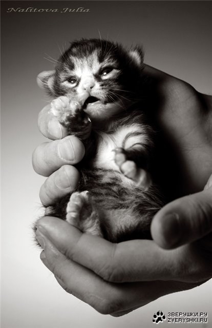 �������� :)