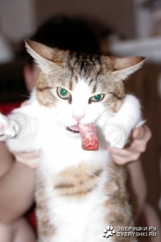 ������ �����! :)