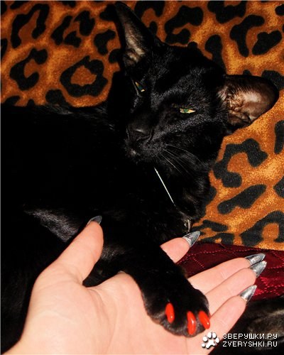 ���������!