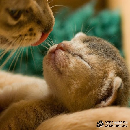 ����� ��� ������� :)