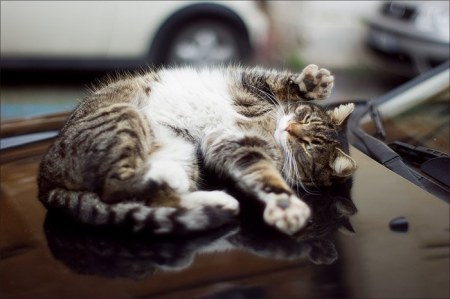 ������ ����! ;)