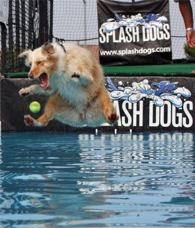 ������ ���������� �������� (22 ����)