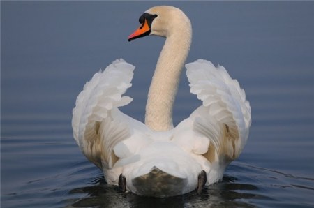 ������ ���������� �������� (22 ����)