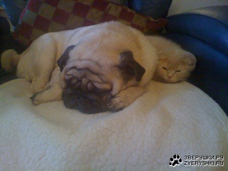 ��� ����� � ������!