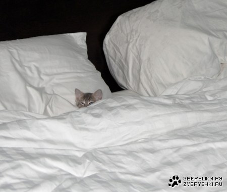 ��������� ������� �� ������� ������� :)