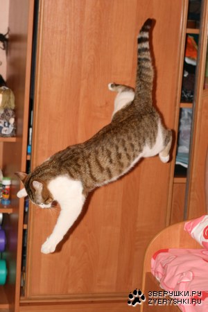 ��� ������ ������������ :)