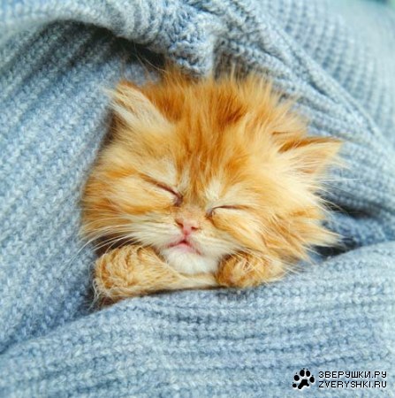 ��������� �������! (12 ����)