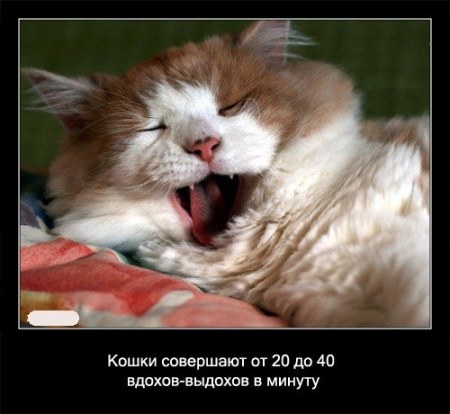 14 ������ � ������