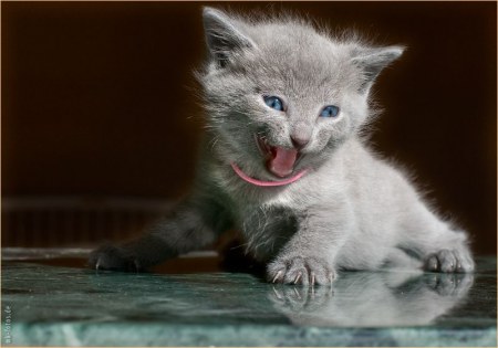 ������� ������� :)