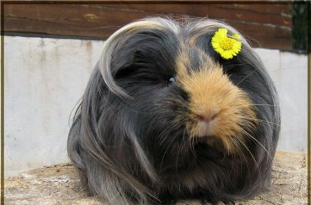 ������� ������! (13 ����)