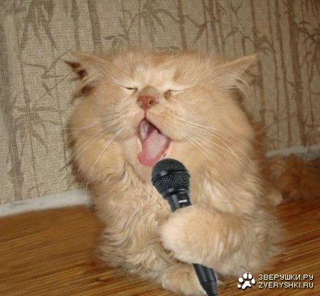 ������ � ��� ����! :)