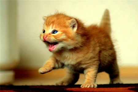 ���������� ��� ���! :)