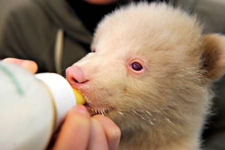 ���� � ����� :)