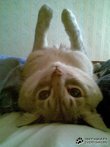 ����� ���������� :)