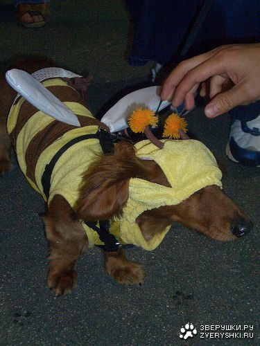 ������ ;)