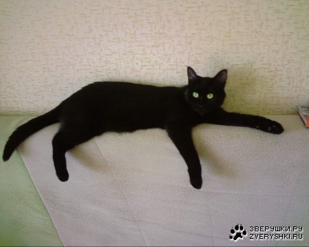 ������� � ������ ����! ;)