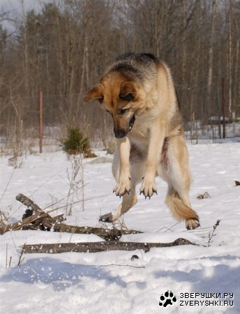 ��������! :)