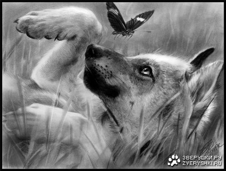 �������� ������� :)