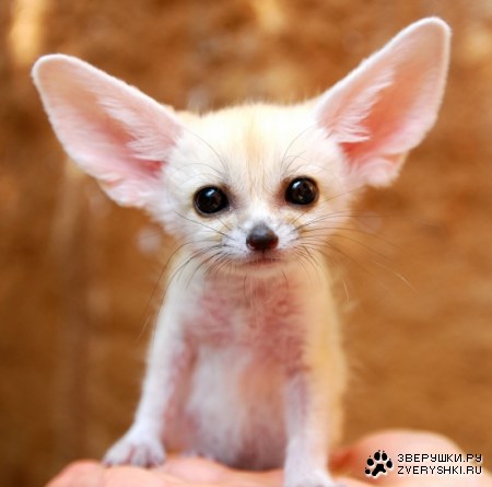 ��������� ��� ��������! :)