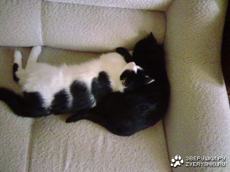 �� ���� :)