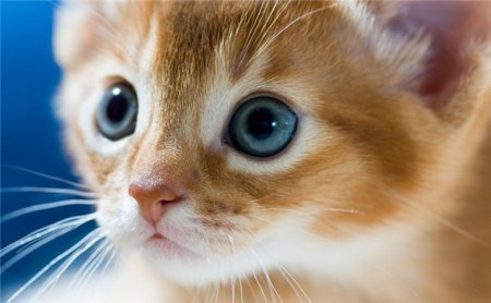 ��������� ;)