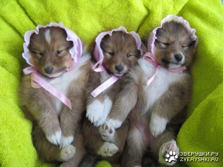 ������������� :)