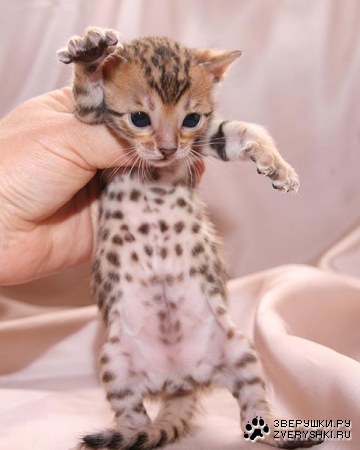 ����� � ����� :)