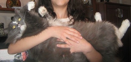 ������� ���! (16 ����)