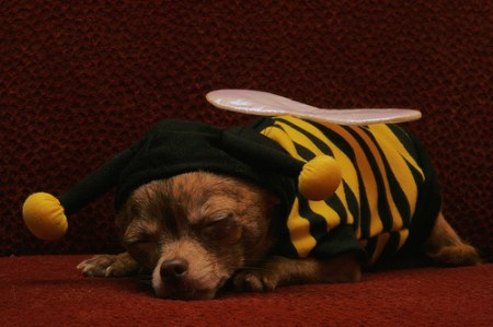 ������ ;)