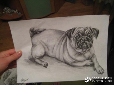 �������� ������� ����� :)