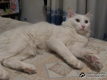 �������� ����� � ��� �������� (6 ����)