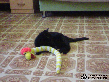 ��� ������� �������! :)