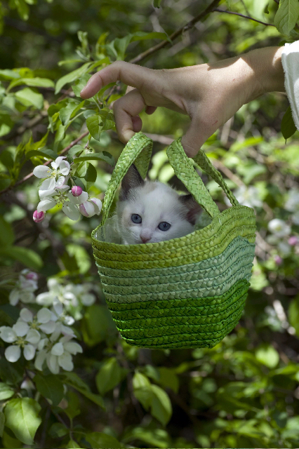 ��������� � �������� :)