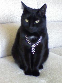 ����������� ���� :)