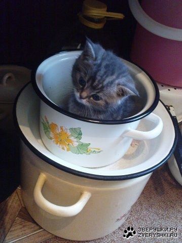 ��������� �������...