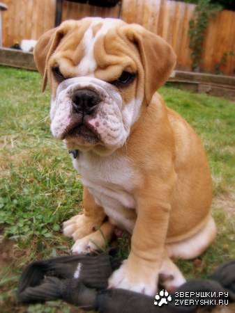 �� ���� ����� ����� :)