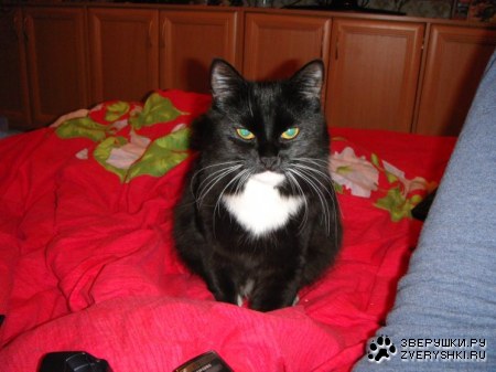 �������� :)