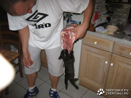 �� ����! :)