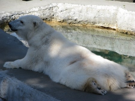 ������� :)