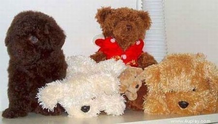 �������-������� :)