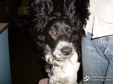 ������� ������� :)