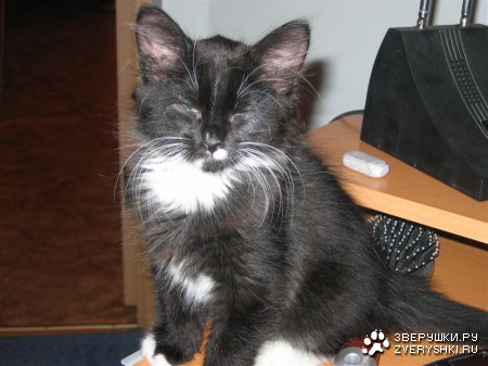 ������ ������� :)