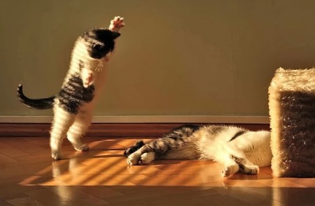 �������� :)