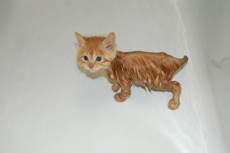 ������������ �����... :)