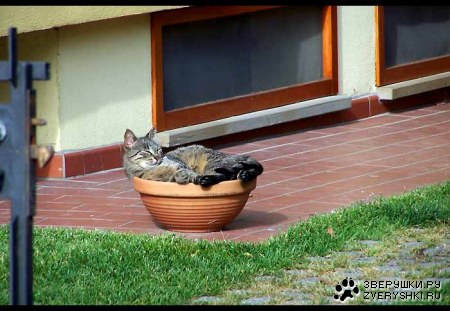 ���� ���, �������! :)