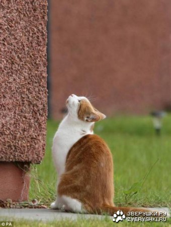 ���-�������� :)