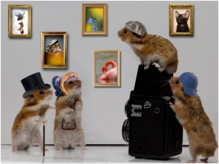 ������ ������� (8 ����)