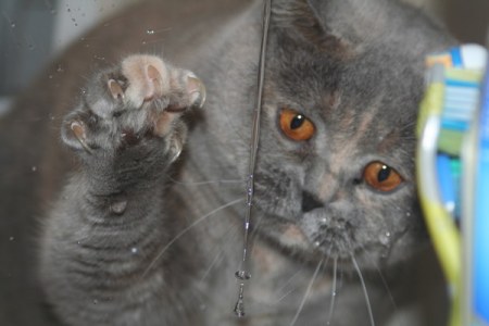 ���-��� :)